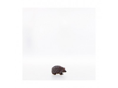 Igel nach unten schauend